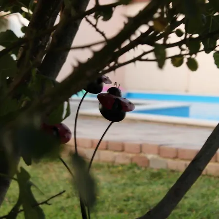 Tatil Evi Verde Holiday House Mostar